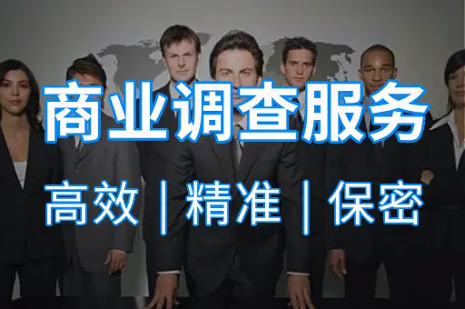 商业调查服务