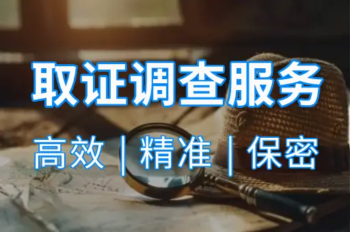 取证调查服务